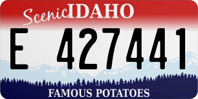 ID license plate E427441