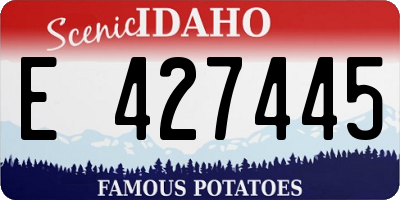 ID license plate E427445