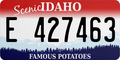 ID license plate E427463