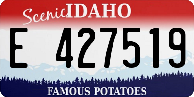 ID license plate E427519