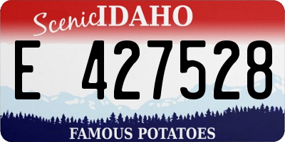 ID license plate E427528