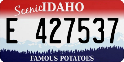 ID license plate E427537