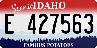 ID license plate E427563