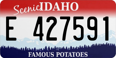 ID license plate E427591