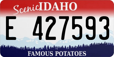 ID license plate E427593