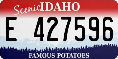 ID license plate E427596