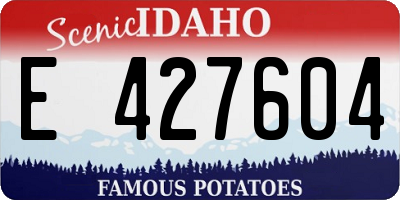 ID license plate E427604