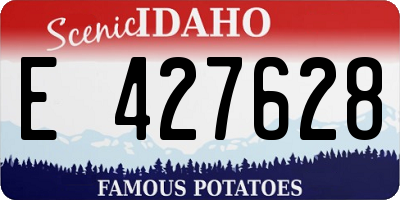 ID license plate E427628