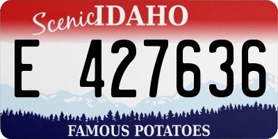 ID license plate E427636