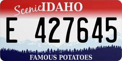 ID license plate E427645