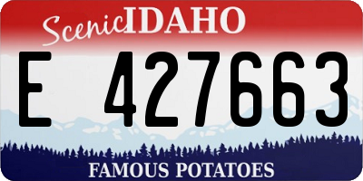 ID license plate E427663
