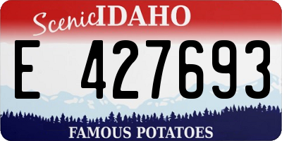 ID license plate E427693