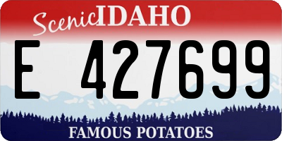ID license plate E427699