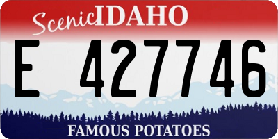 ID license plate E427746
