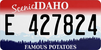 ID license plate E427824