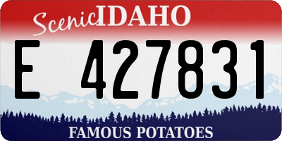 ID license plate E427831