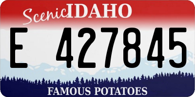 ID license plate E427845