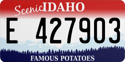 ID license plate E427903