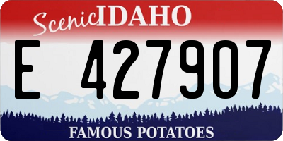 ID license plate E427907