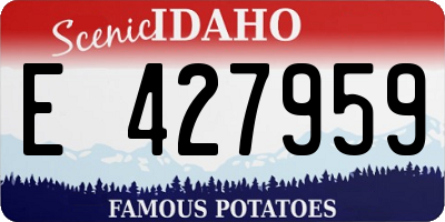 ID license plate E427959
