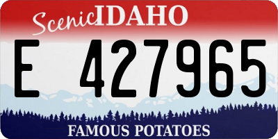 ID license plate E427965