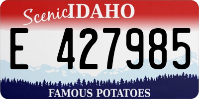 ID license plate E427985