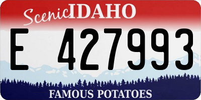 ID license plate E427993
