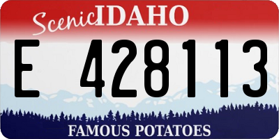 ID license plate E428113