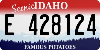 ID license plate E428124