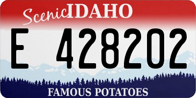 ID license plate E428202