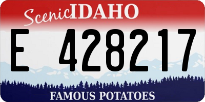 ID license plate E428217