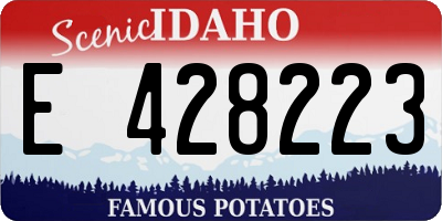 ID license plate E428223