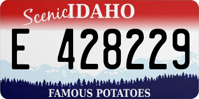 ID license plate E428229