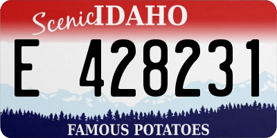 ID license plate E428231