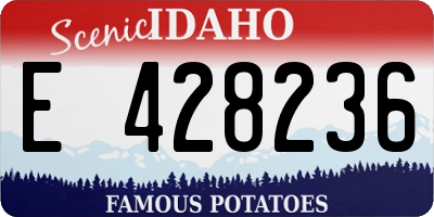 ID license plate E428236