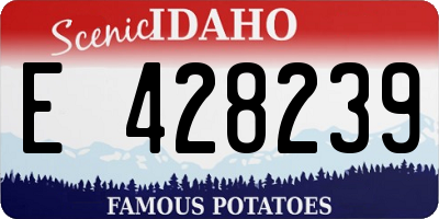 ID license plate E428239