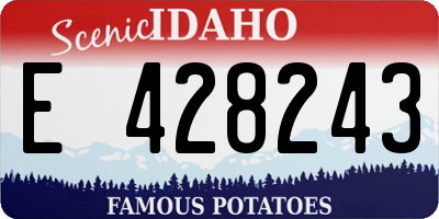 ID license plate E428243