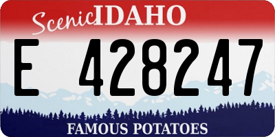 ID license plate E428247
