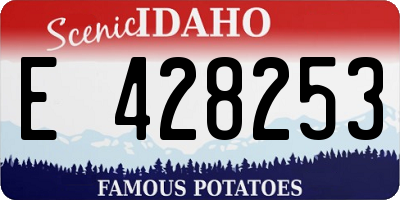 ID license plate E428253