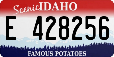 ID license plate E428256