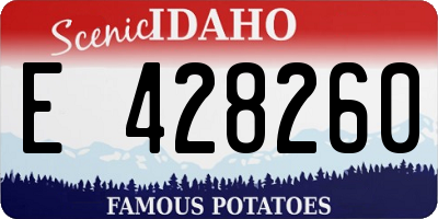 ID license plate E428260