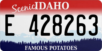 ID license plate E428263