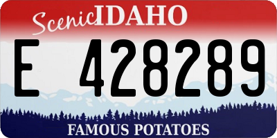 ID license plate E428289