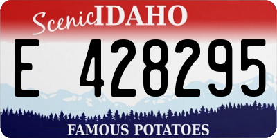 ID license plate E428295