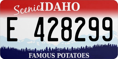 ID license plate E428299
