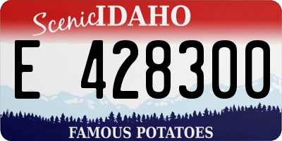 ID license plate E428300