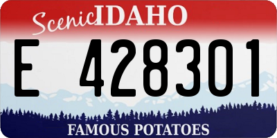 ID license plate E428301