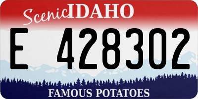 ID license plate E428302