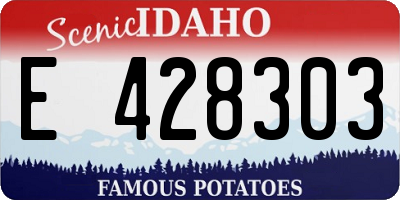 ID license plate E428303