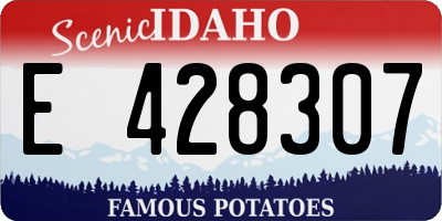 ID license plate E428307